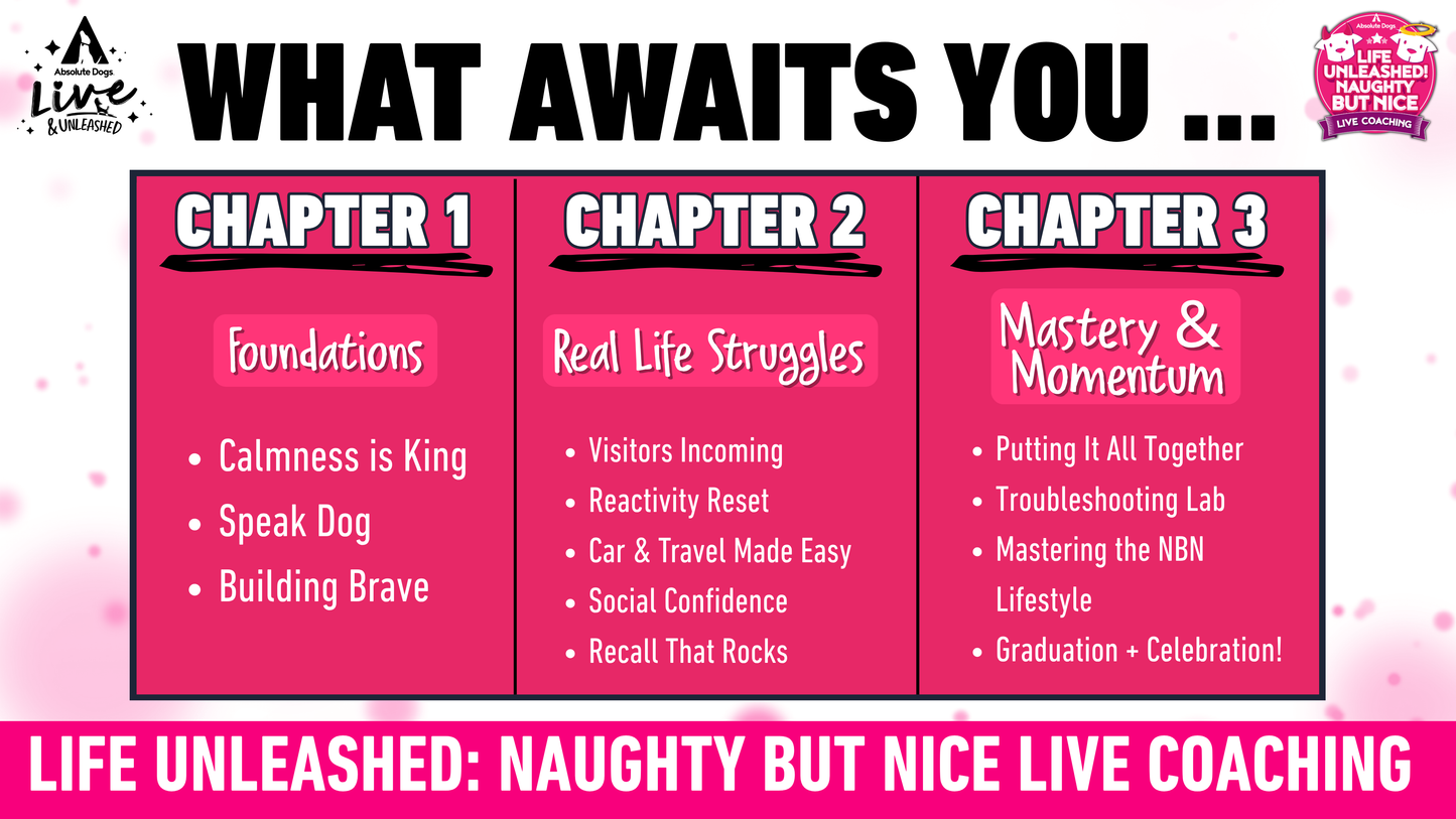 Life Unleashed: Naughty but Nice Coaching