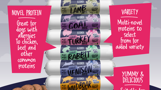 A-OK9 High-Protein Pâté (only UK)