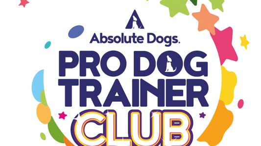 Pro Dog Trainer Club - Top Up *for existing members*