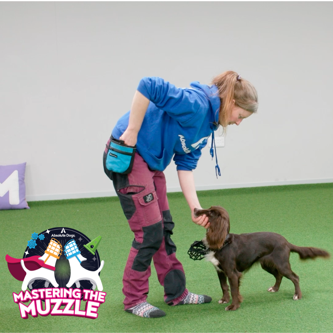 Mastering the Muzzle