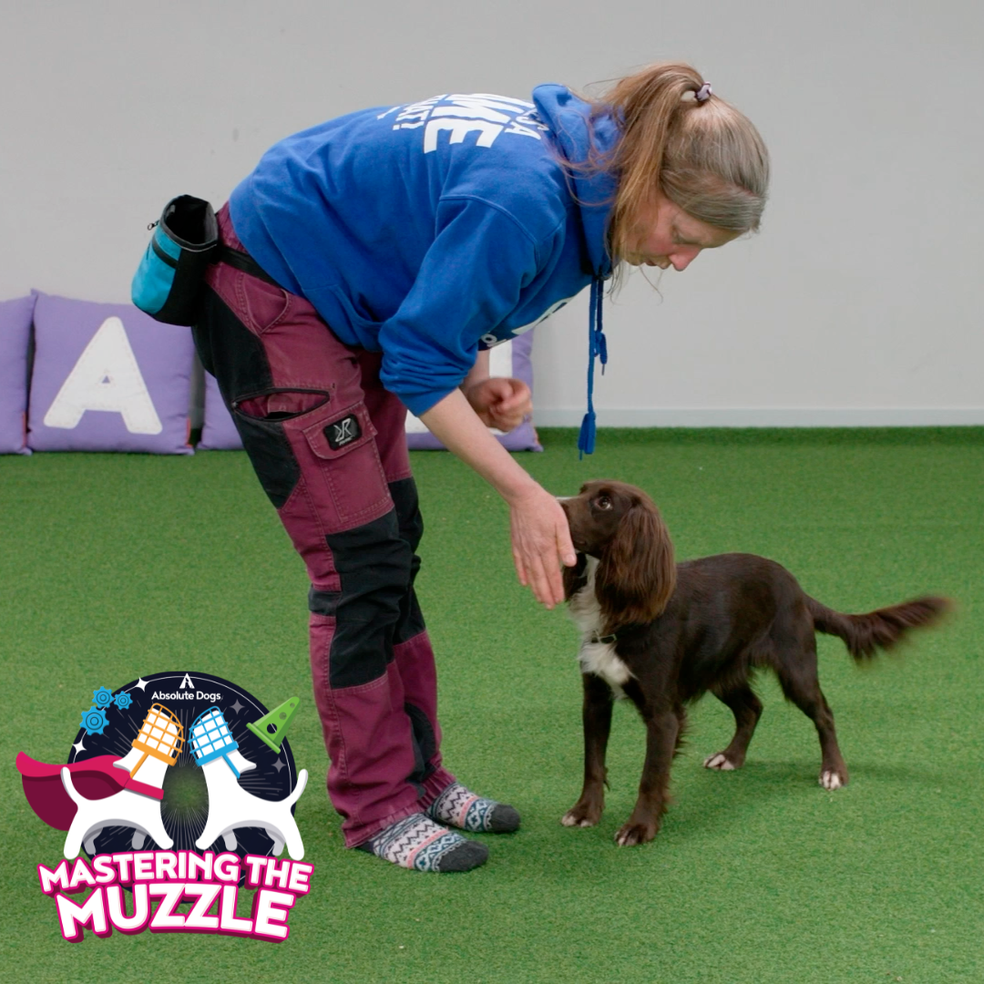 Mastering the Muzzle