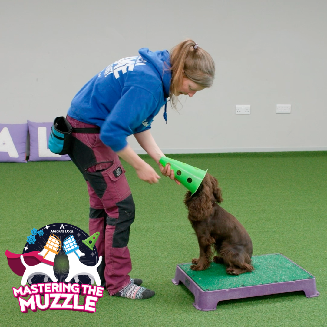 Mastering the Muzzle