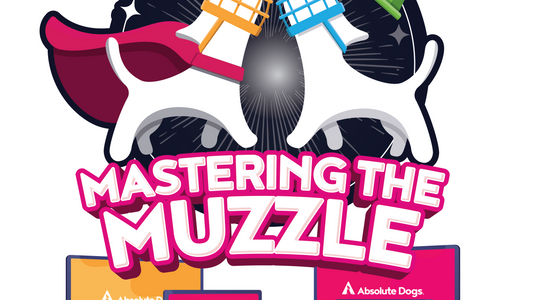 Mastering the Muzzle