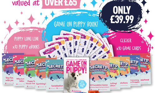 Game On! Puppy Power Up Kit