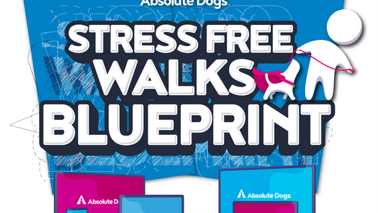 Stress Free Walks Blueprint