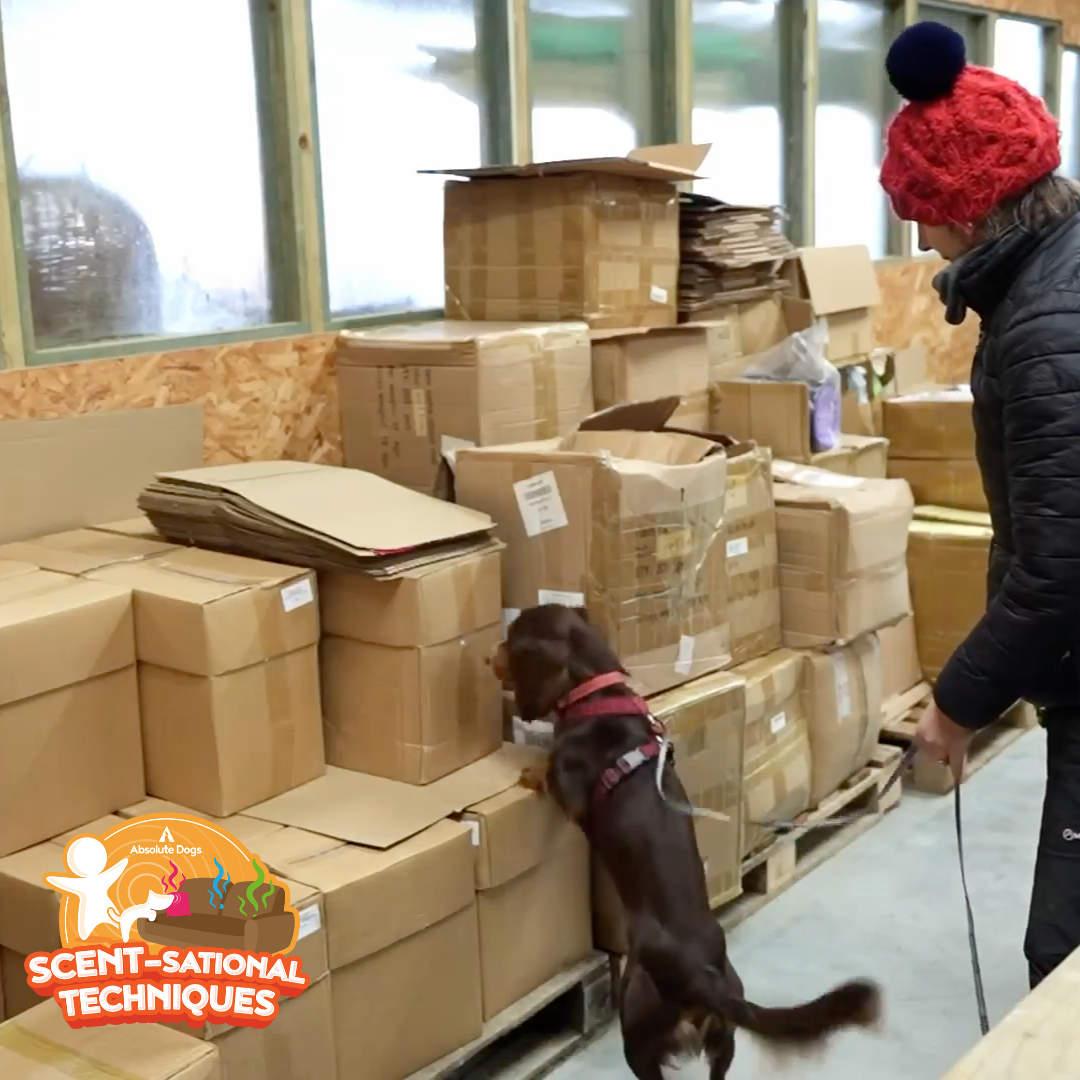 Scent-sational Techniques