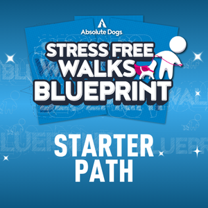 Stress-Free Walks Starter Path