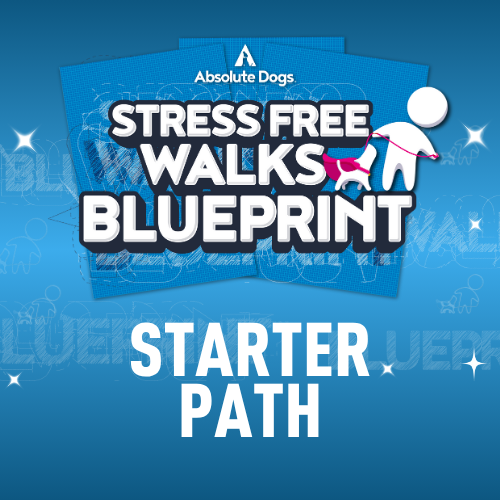 Stress-Free Walks Starter Path