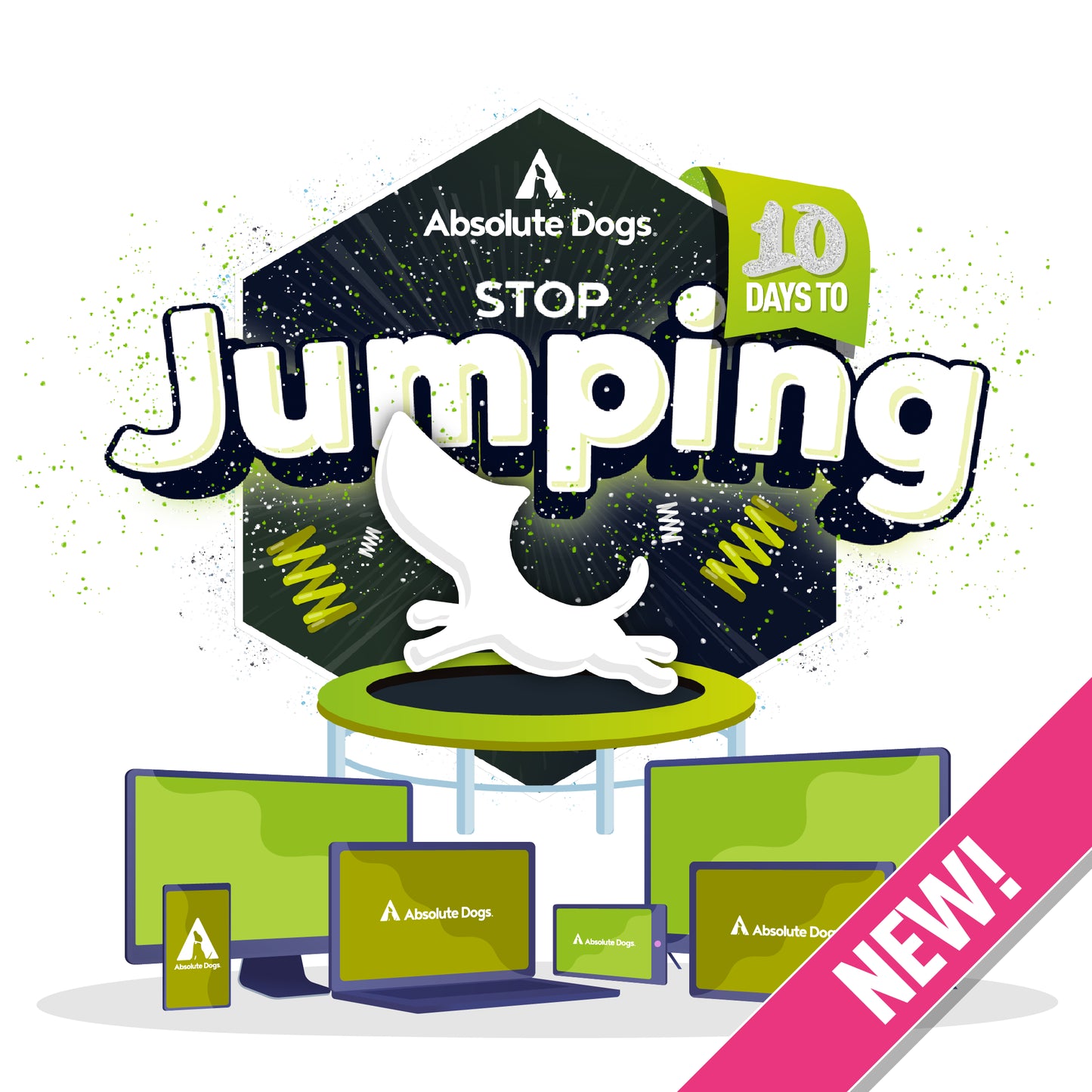 10 Days To Stop Jumping!