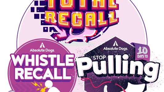 The Ultimate Recall Collection