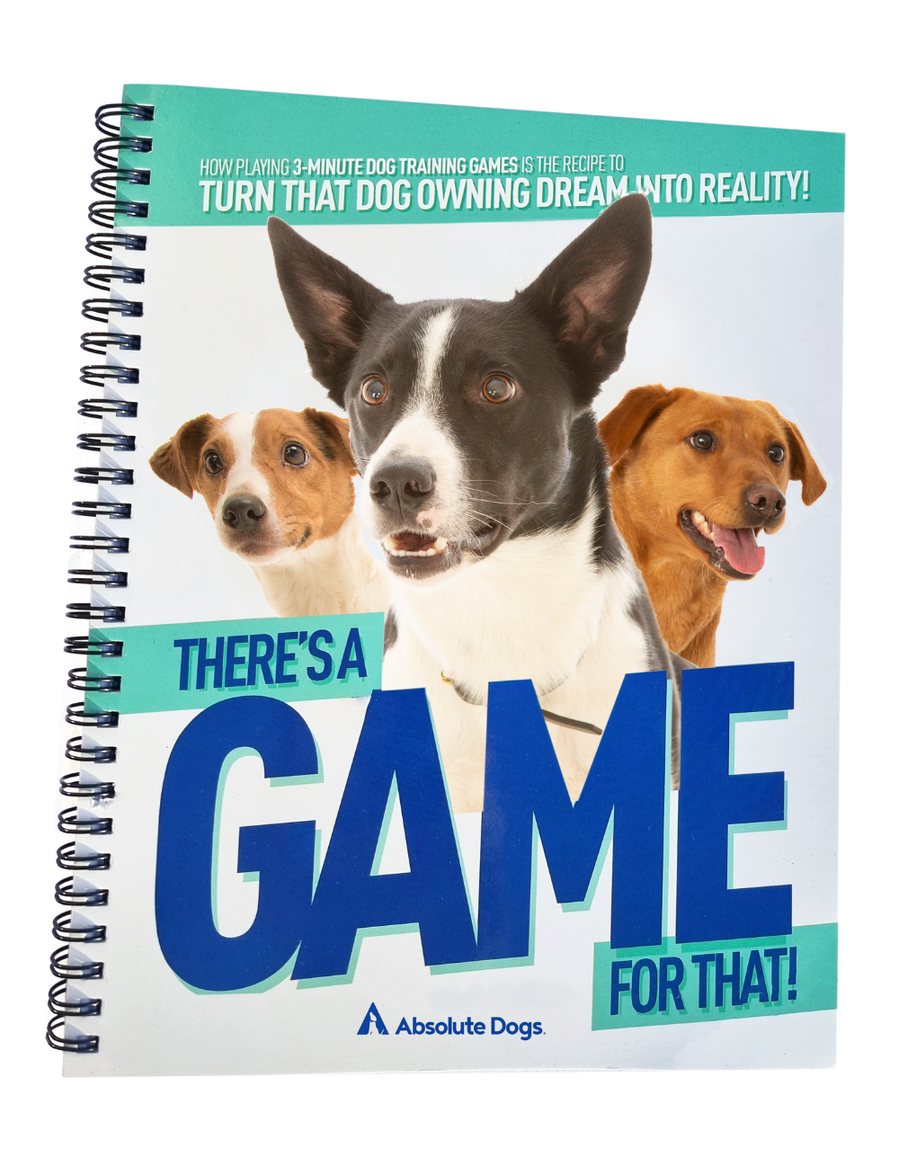 There's a Game for That! Recipe Book