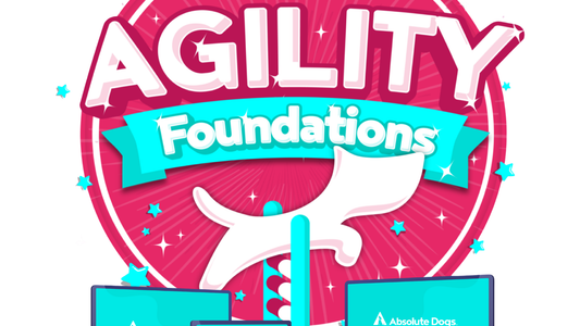 Agility Foundations