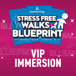 Stress-Free Walks VIP Immersion