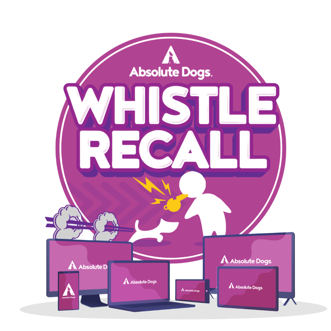 Whistle Recall