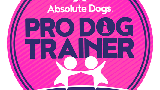 Pro Dog Trainer Connect