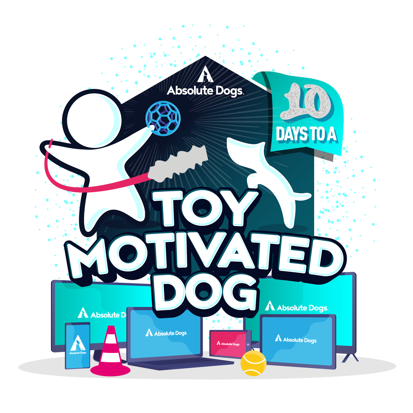 10 Days to a Toy Motivated Dog