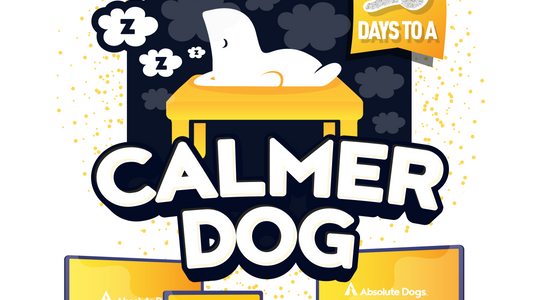 10 Days to a Calmer Dog