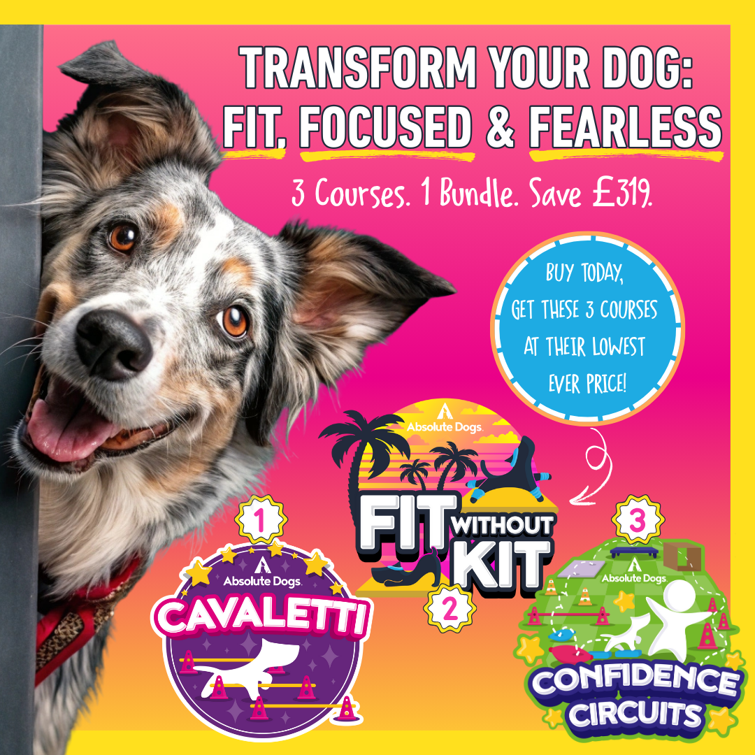 Fit, Focused & Fearless Transformation