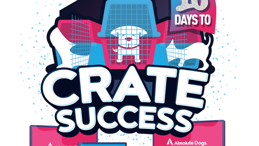 10 Days to Crate Success