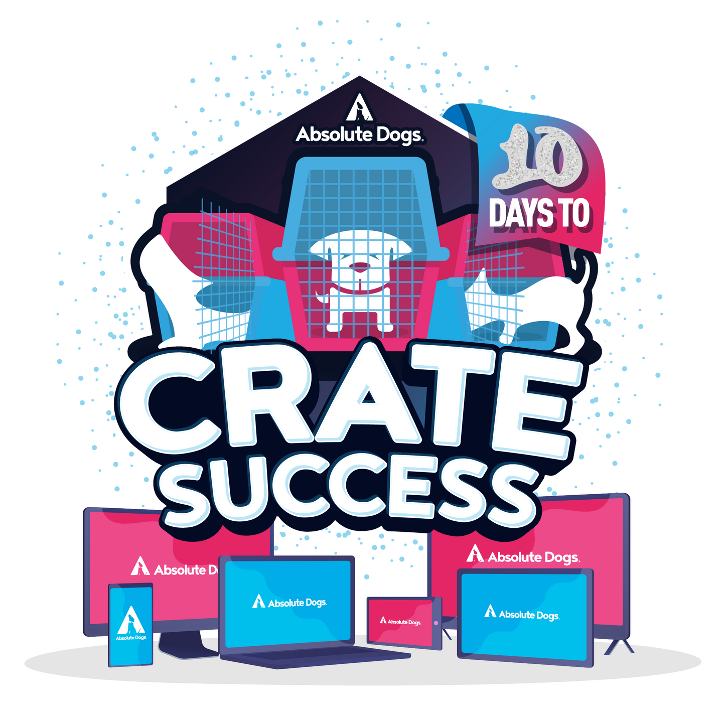 10 Days to Crate Success