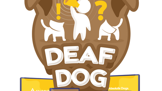 Deaf Dog