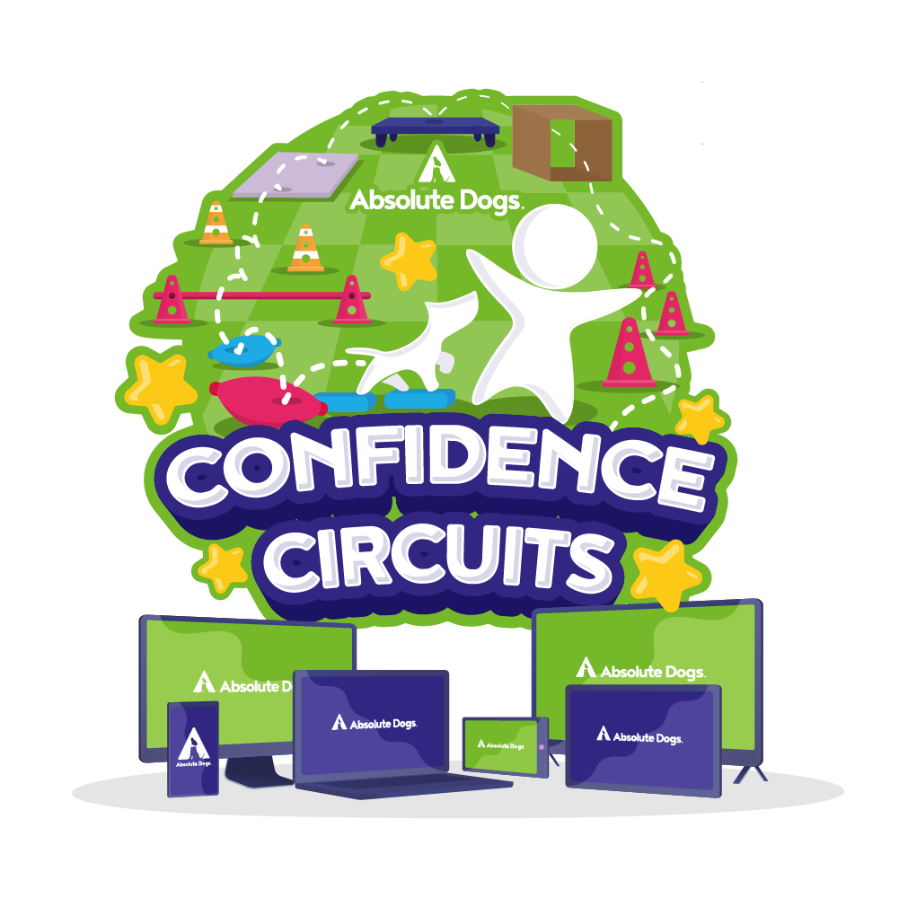 Confidence Circuits