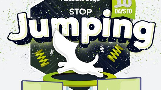 10 Days To Stop Jumping!