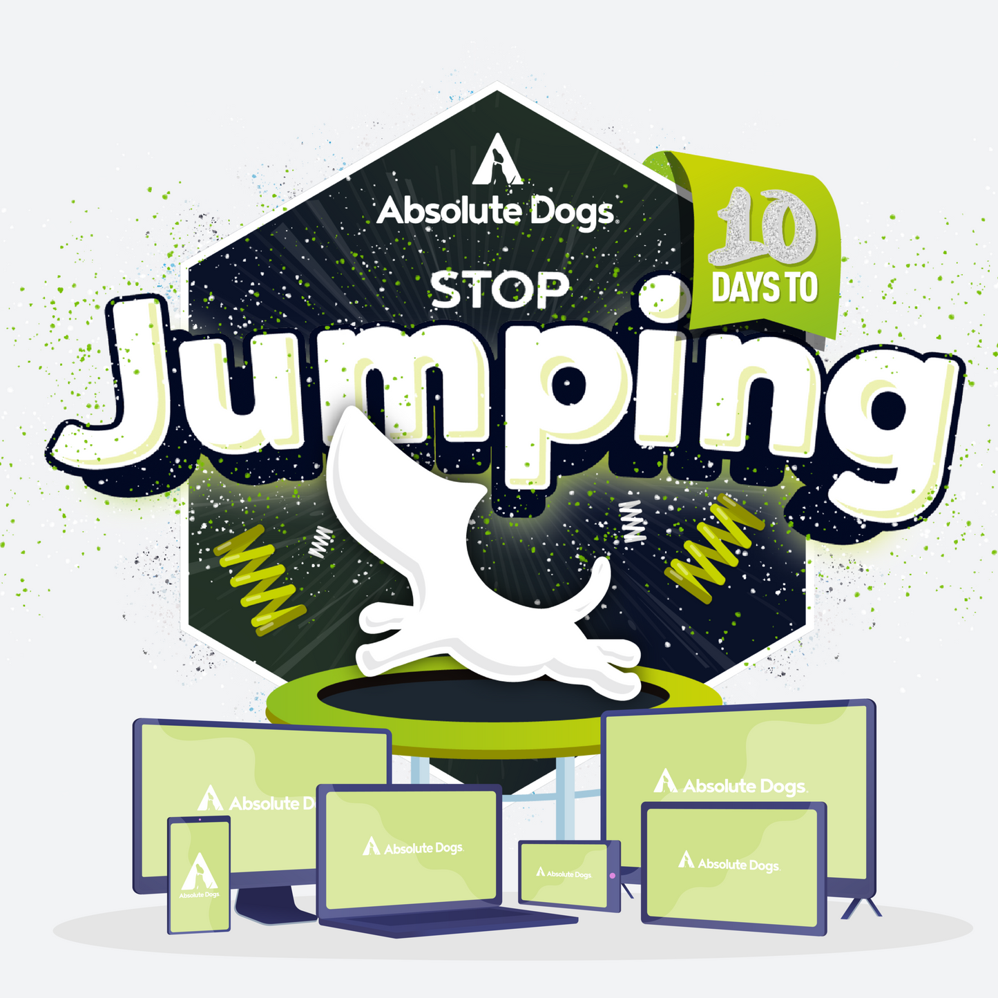 10 Days To Stop Jumping!
