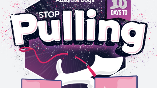 10 Days To Stop Pulling!