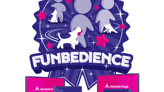 Funbedience
