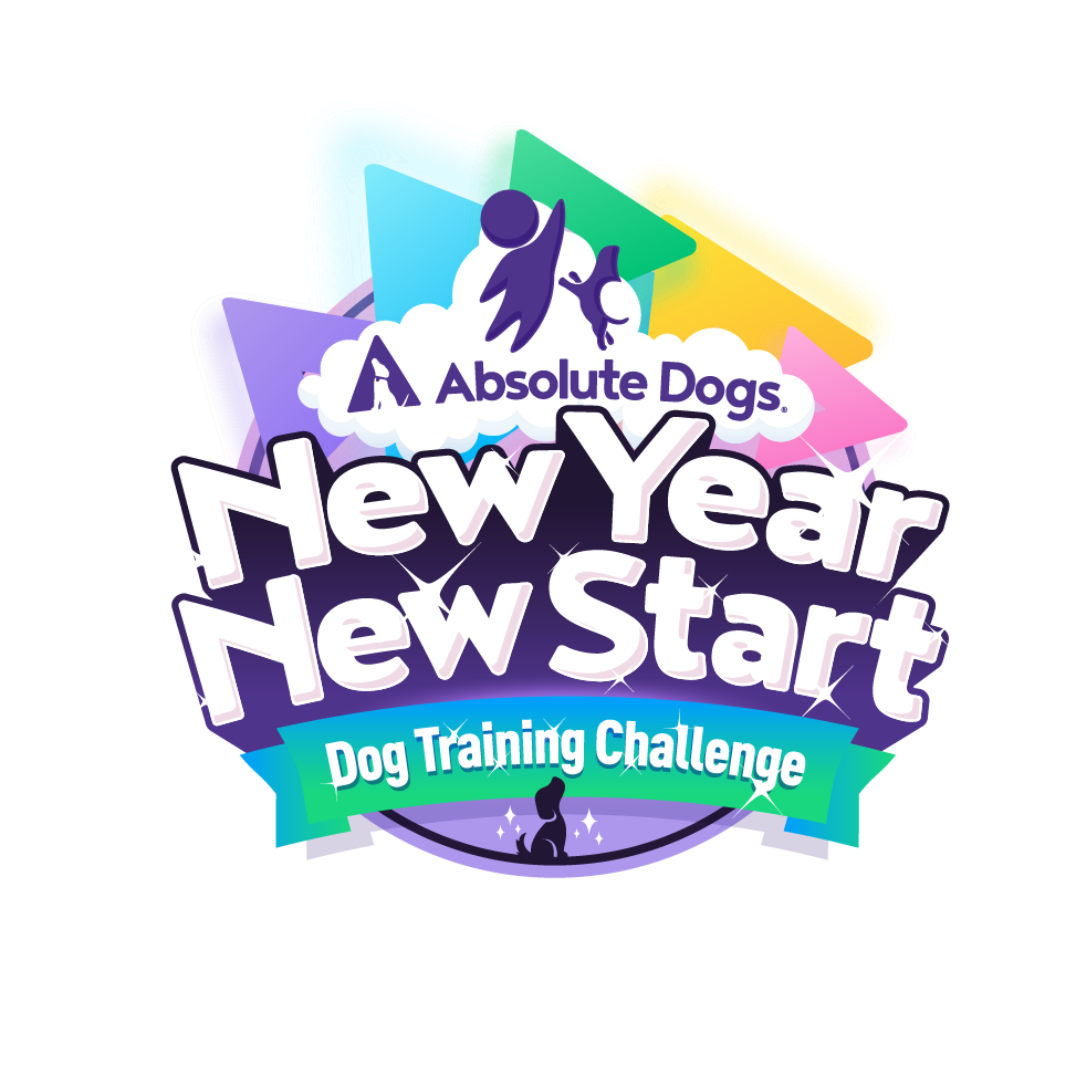 New Year New Start Dog Training Challenge