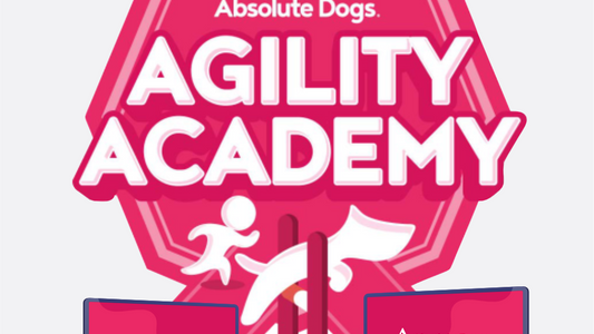 Agility Academy Membership