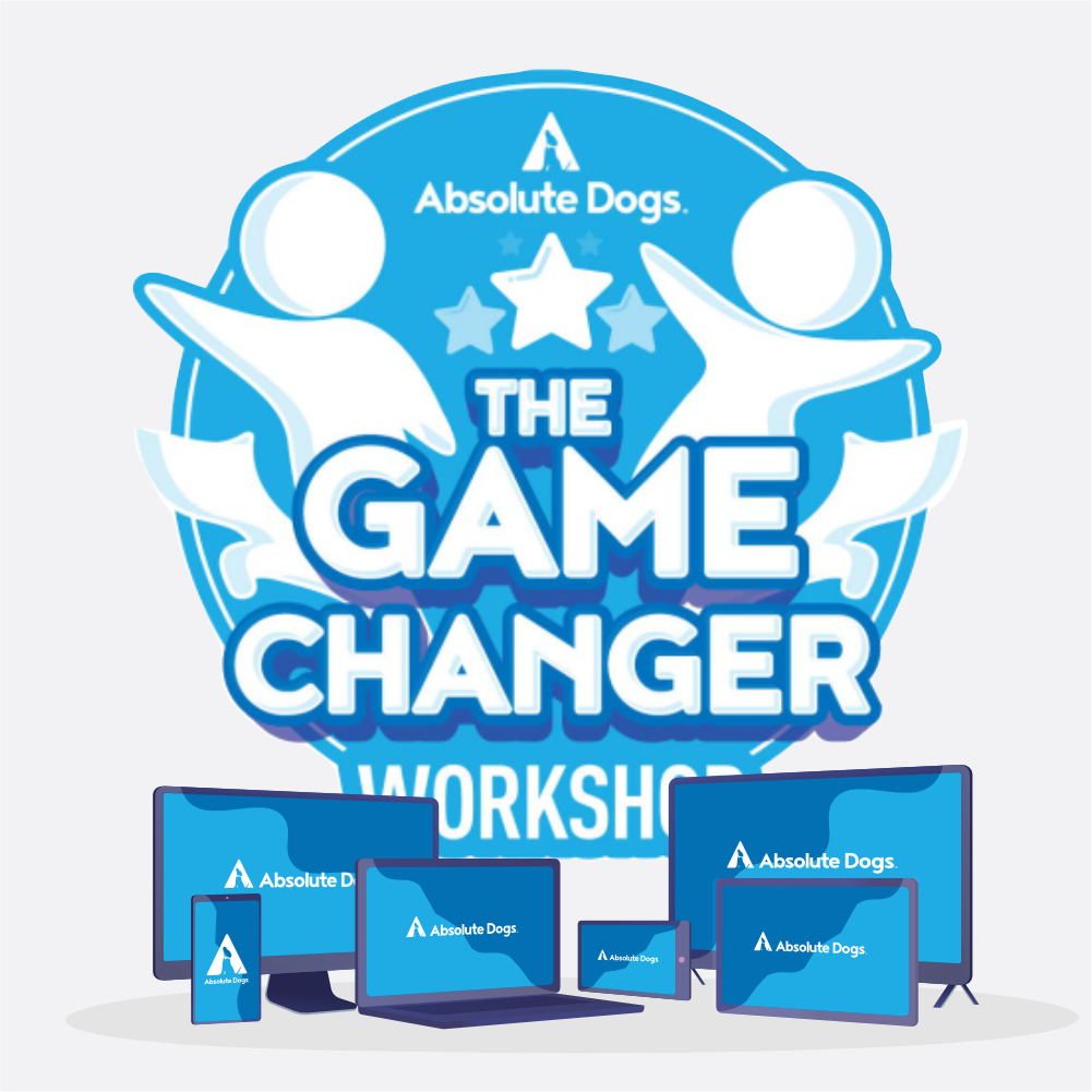 The GameChanger Workshop Live