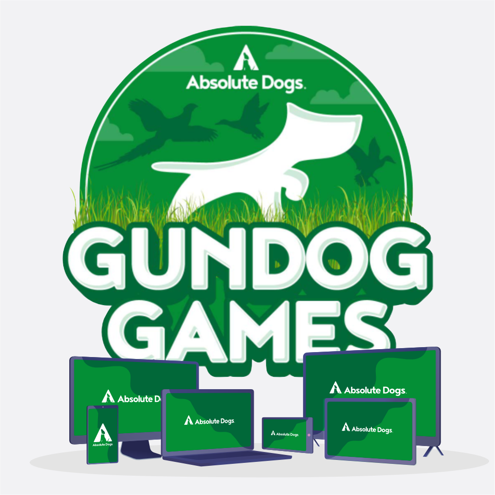 Gundog Games