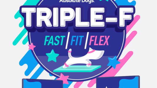 Triple F - Fast/Fit/Flex