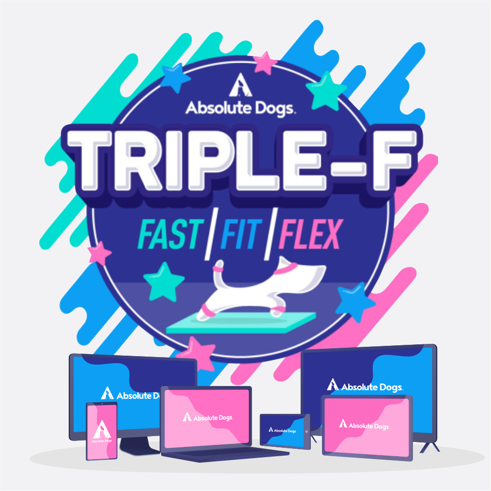 Triple F - Fast/Fit/Flex