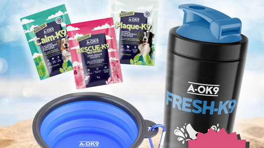 Summer Refreshment Kit