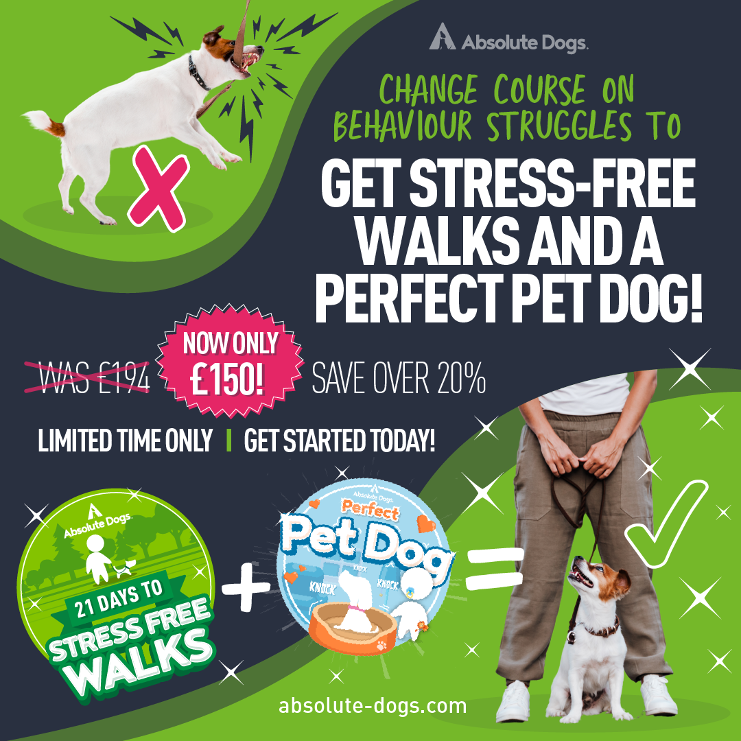 Stress-Free Life & Walks Course Bundle