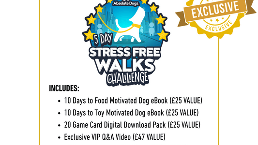 Stress-Free Walks VIP Access