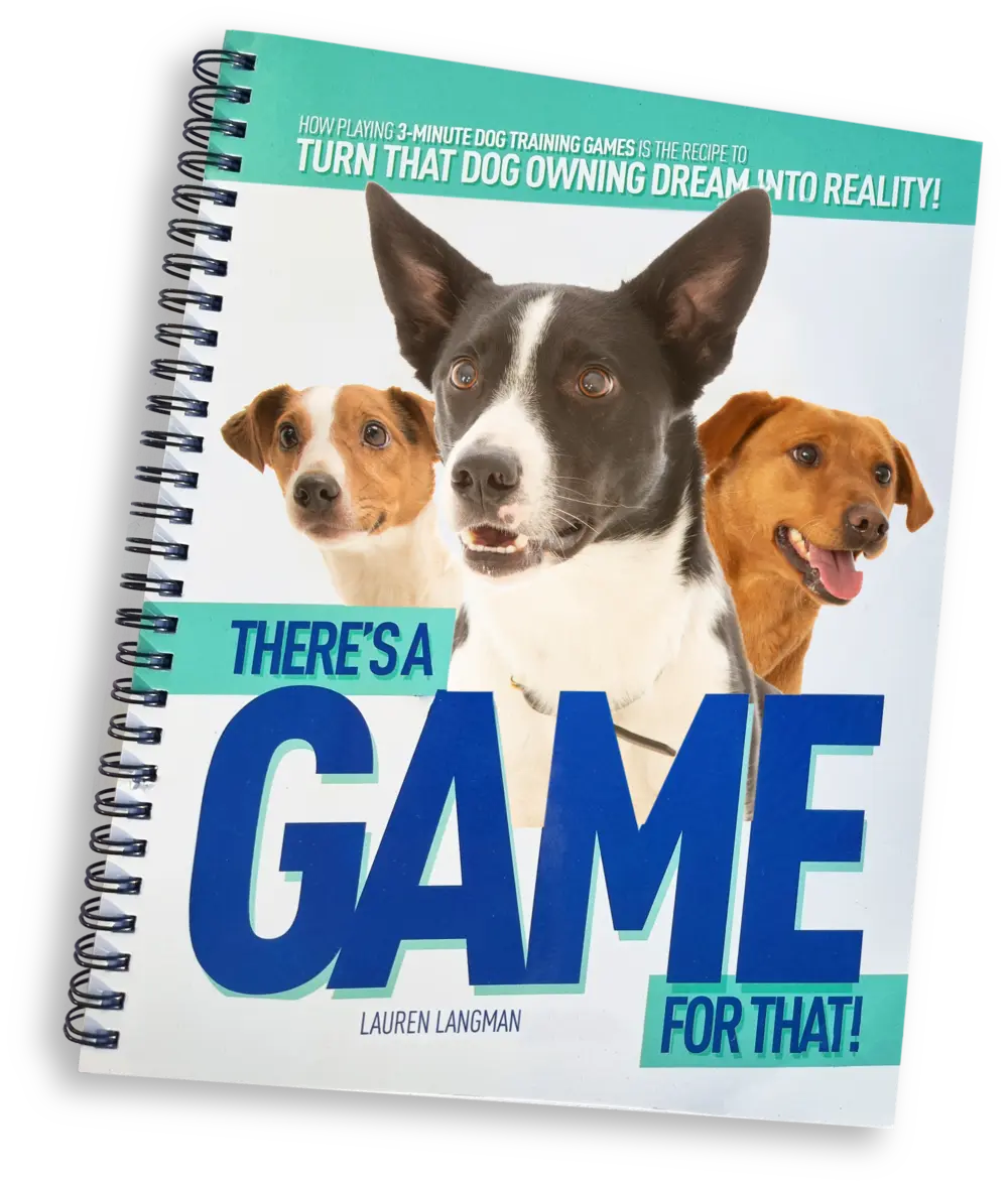 There's a Game for That! Recipe Audiobook