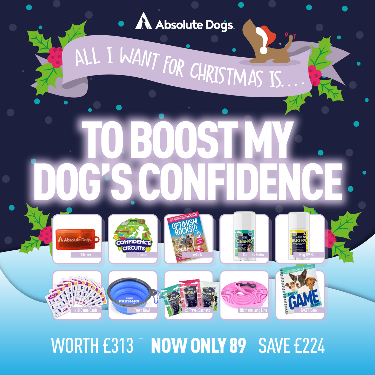 All I Want For Christmas Is... To Boost My Dog's Confidence