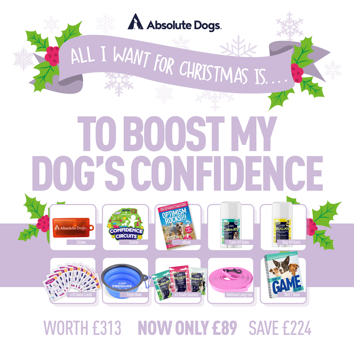 All I Want For Christmas Is... To Boost My Dog's Confidence