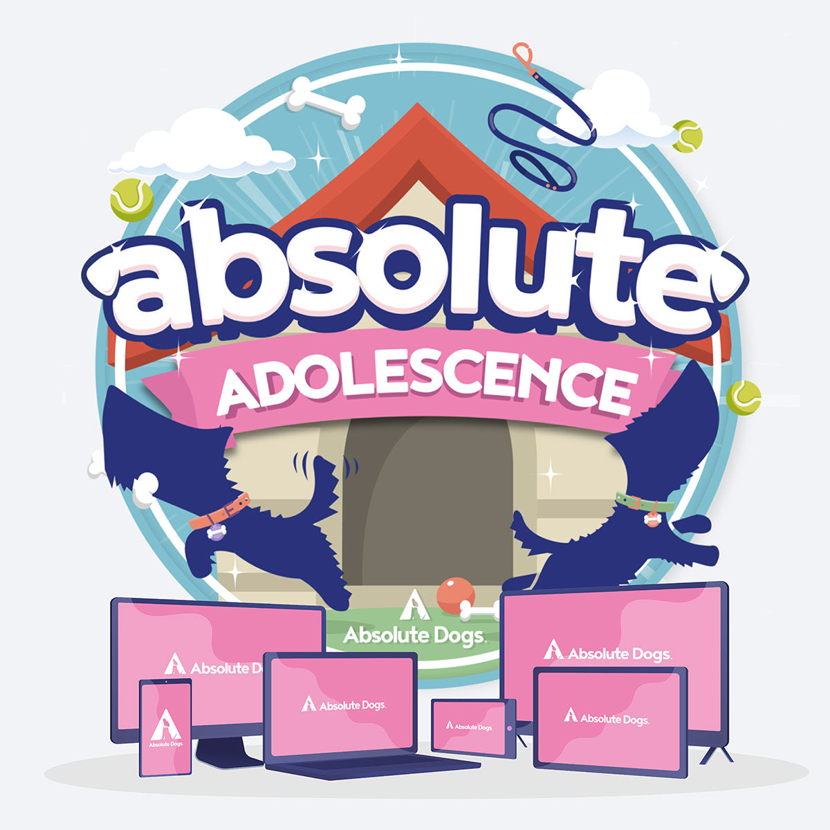 absolute Adolescence