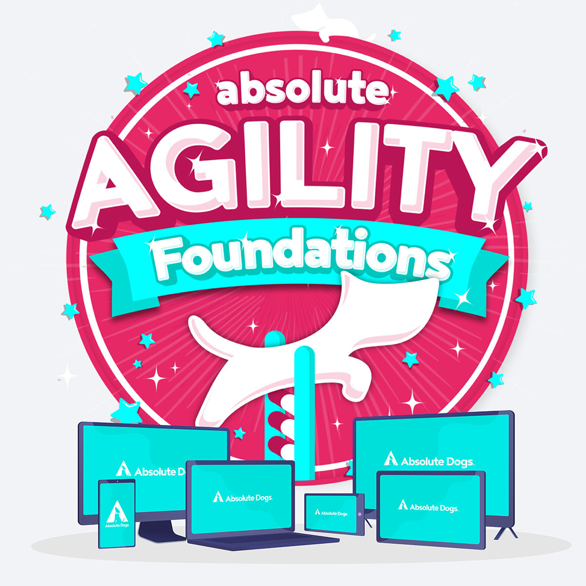 Agility Foundations