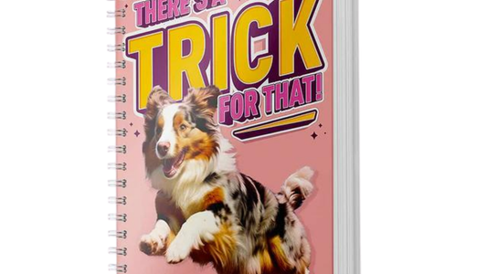 There's A Trick For That Wiro-bound Playbook