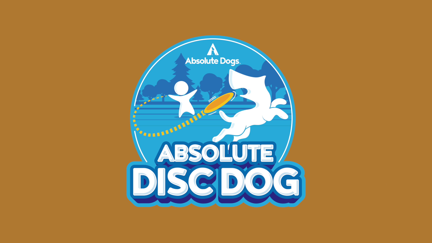 Absolute Disc Dog