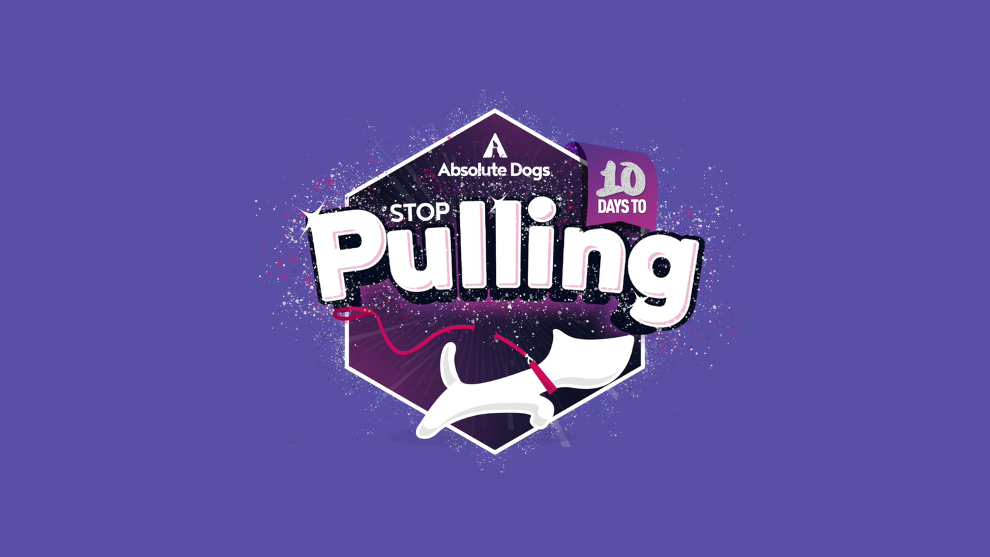 10 Days To Stop Pulling!