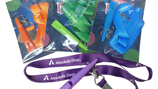 Training Whistle and Lanyard