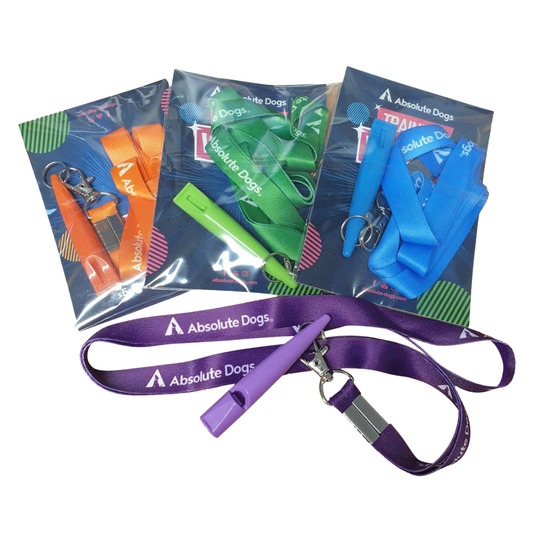 Training Whistle and Lanyard